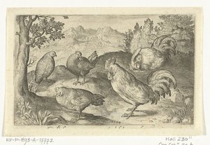 Trois poules et deux coqs