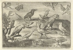 Huppe et autres oiseaux (Vogels en insecten) - Nicolaes de Bruyn