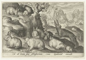 Lapins, écureuil, cobaye et souris - Nicolaes de Bruyn