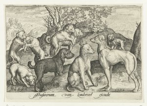 Neuf chiens - Nicolaes de Bruyn
