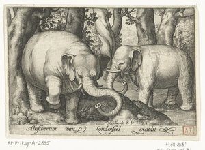 Deux éléphants, Animalivm qvadrvpedvm (titre de la série), Animaux dans des paysages (titre de la série)