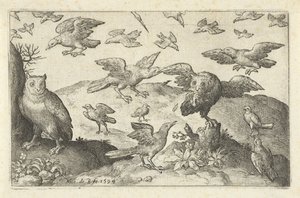 Hibou avec proie attaqué par d