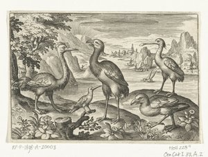 Cinq oiseaux dont une spatule (Vogels en insecten) - Nicolaes de Bruyn