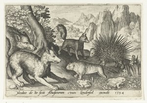 Sanglier, renards, castor, porc-épic et grenouilles