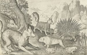 Sanglier, renards, castors, porc-épic et grenouilles. 1621