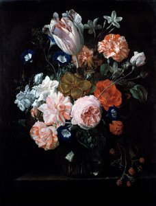 Une tulipe, des œillets et des gloires du matin dans un vase en verre, 17e siècle - Nicolaes van Veerendael