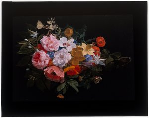 Une guirlande de roses, chèvrefeuille, lys, narcisses, fritillaire pintade - Nicolaes van Veerendael