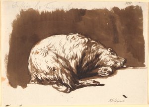 Un ours couché