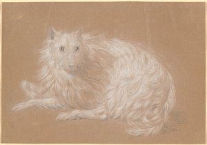 Un chien à poil long couché - Nicolai Abildgaard