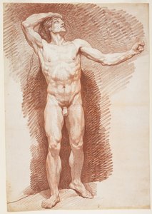 Nu masculin debout