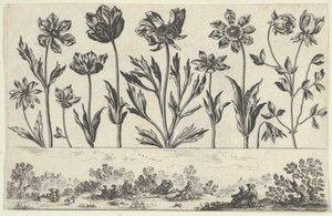 Panneau horizontal avec une rangée de fleurs au-dessus d