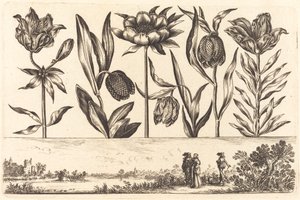 Impression de fleurs n°11 - Nicolas Cochin after Balthasar Moncornet