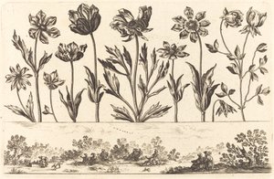 Impression de Fleurs n°1 - Nicolas Cochin after Balthasar Moncornet