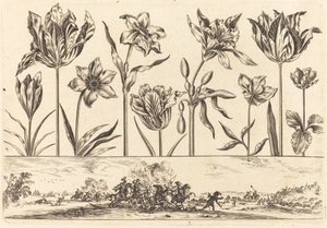 Impression de fleurs n°2 - Nicolas Cochin after Balthasar Moncornet