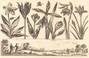 Impression de fleurs n°4 - Nicolas Cochin after Balthasar Moncornet