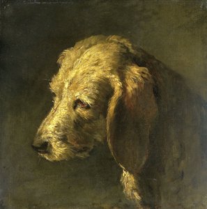 Tête d