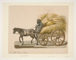Le Vieil Homme de Paille - Nicolino Calyo