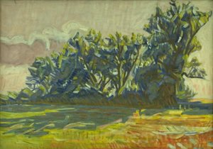 Rangée de saules près de Borup