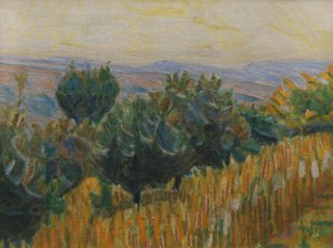 La vigne contre la lumière. Un champ de blé au premier plan. Villa Linda, Florence - Niels Larsen Stevns