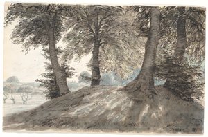 "Hoppehøj près de Nysø"