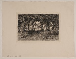 Chariot sur un chemin forestier