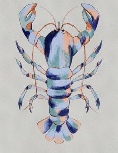 Homard bleu coloré