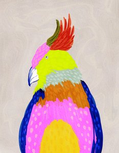 Perroquet tropical aux couleurs vives - Nikita Jariwala
