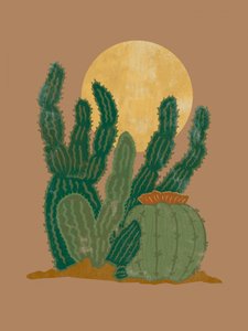Lune des cactus du désert