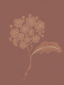 Fleur botanique aux accents terreux