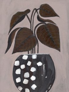 Plante d