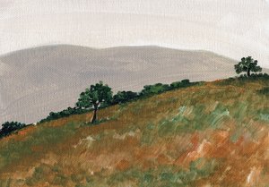 La sérénité des collines vallonnées - Nikita Jariwala