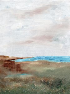 Paysage serein de plage