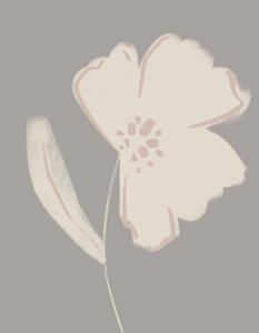 Fleur aux teintes douces - Nikita Jariwala