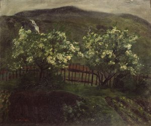 Pluie de printemps et cerisier