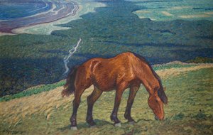 Cheval broutant - Nils Kreuger