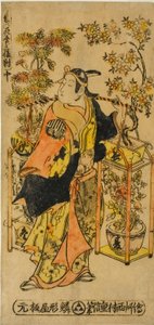 Marchand de fleurs des quatre saisons - Un ensemble de trois (Shiki no hanauri sanpukutsui) - Nishimura Shigenobu