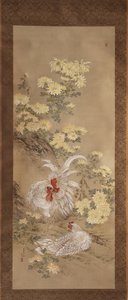 Poulets et chrysanthèmes
