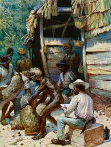 Un commerçant des îles du Pacifique Sud et ses sacs de noix d
