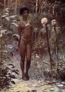 Une vierge Tapu, Îles Salomon britanniques - Norman Hardy