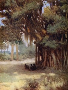 Sous un Banyan, Île Malekula, Nouvelles-Hébrides - Norman Hardy