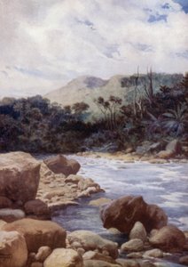 Les rapides, rivière Williams, île d