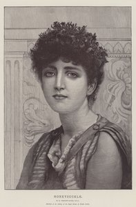 Chèvrefeuille - Norman Prescott Davies