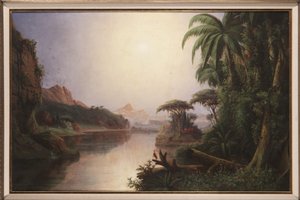 Paysage tropical - Norton Bush