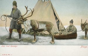 Lapons avec des rennes, Norvège - Norwegian Photographer