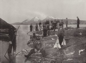 Lavage de poisson Klip - Norwegian Photographer