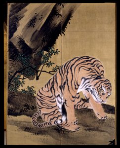 Tigres dans un paysage