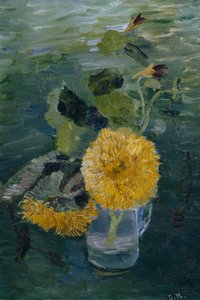 Tournesols
