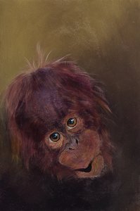 Bébé orang-outan 2, 2010 (acrylique sur bois) - Odile Kidd
