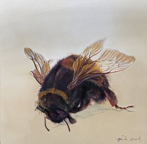 Bombus terrestris 10, 2013 (acrylique sur bois)