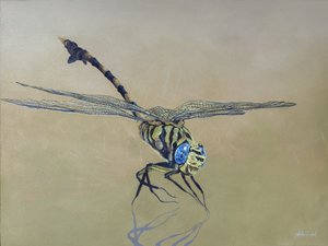 Dragon fly, 2009 (acrylique sur bois)